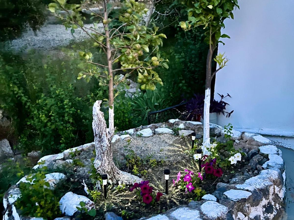 Greek House Tatiana Villa Kos Exteriör bild